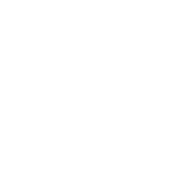 Salon-P logo